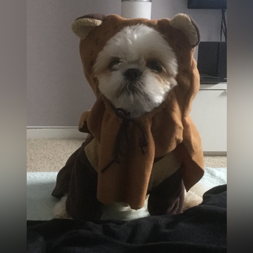 Ewok Costume / Size Medium